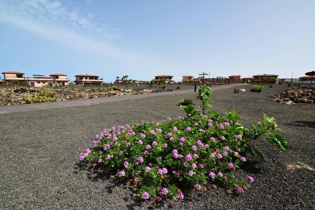 Casa Platanera!! Villa ลาคาเรส ภายนอก รูปภาพ